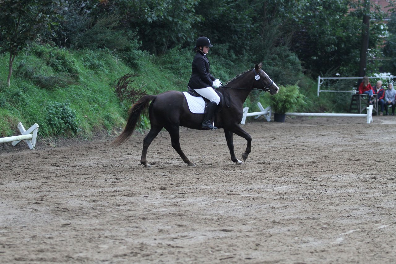 Bild 476 - WBO-Turnier am 18.9.11